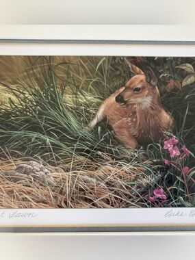 Forest Fawn By Luke Raffin Print